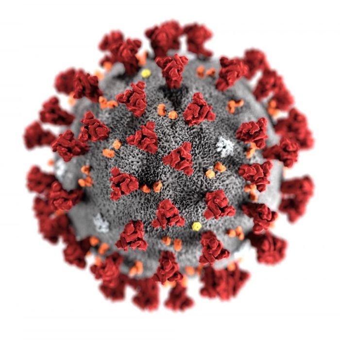 coronavirus-cdc-1585869759-e1612866080605