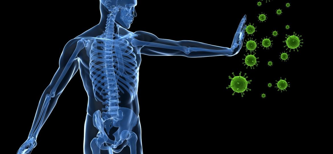 Immune-System1