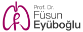 Prof.Dr.Füsun Eyüboğlu